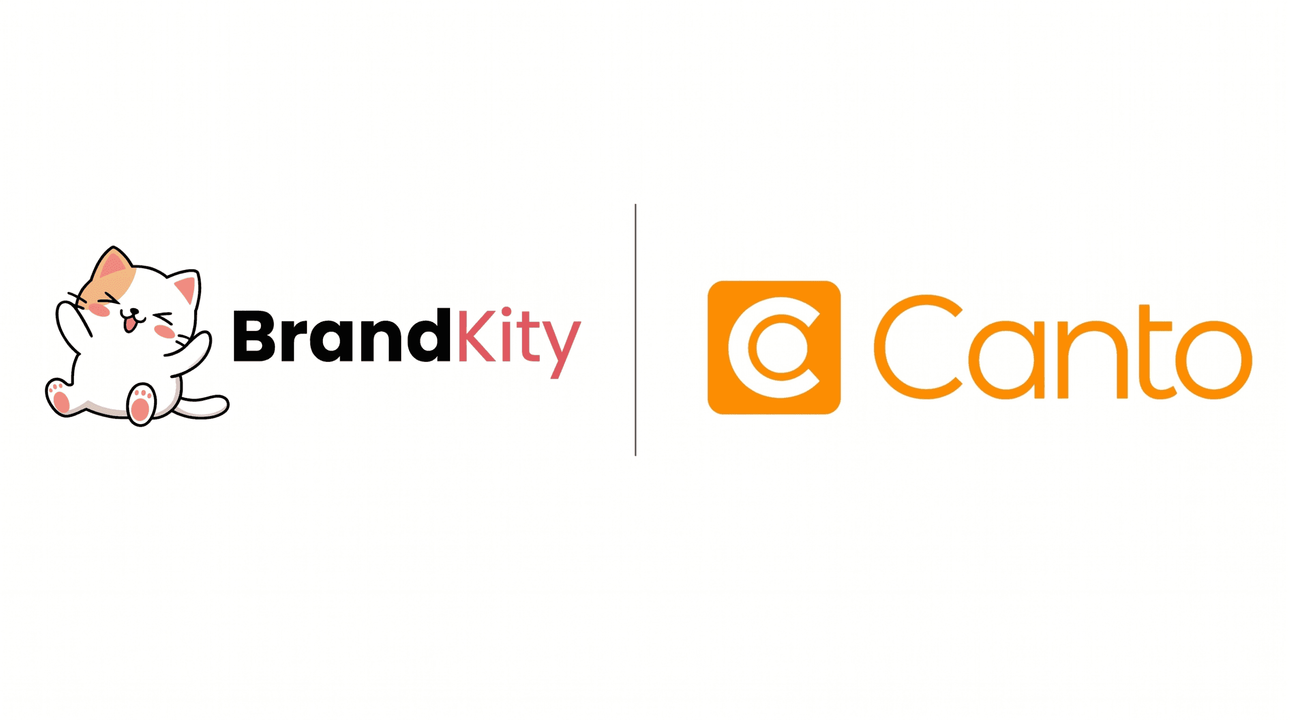 Canto Alternative | Clutter-Free Brand Asset Management