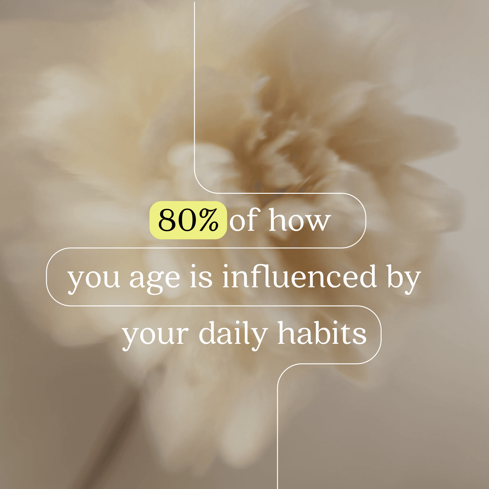Frame 22lyva.png